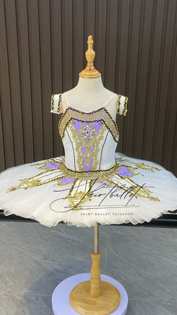 Professional Ballet Customization